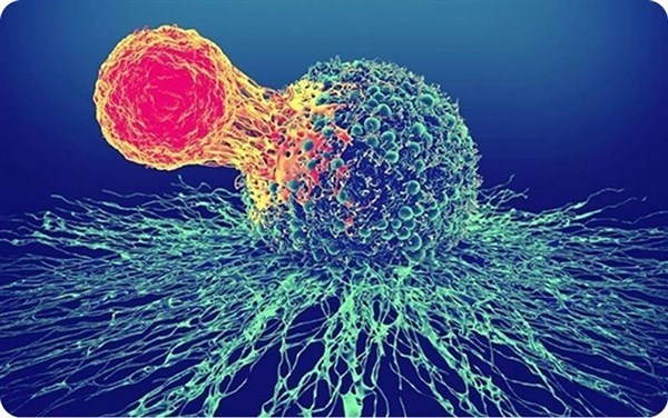 Liệu pháp tế bào gốc