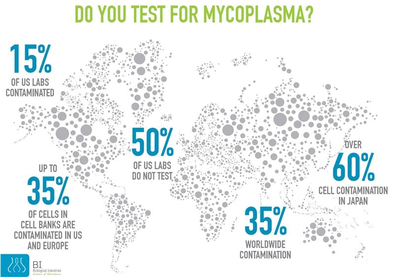 Xét nghiệm Mycoplasma trong nuôi cấy tế bào