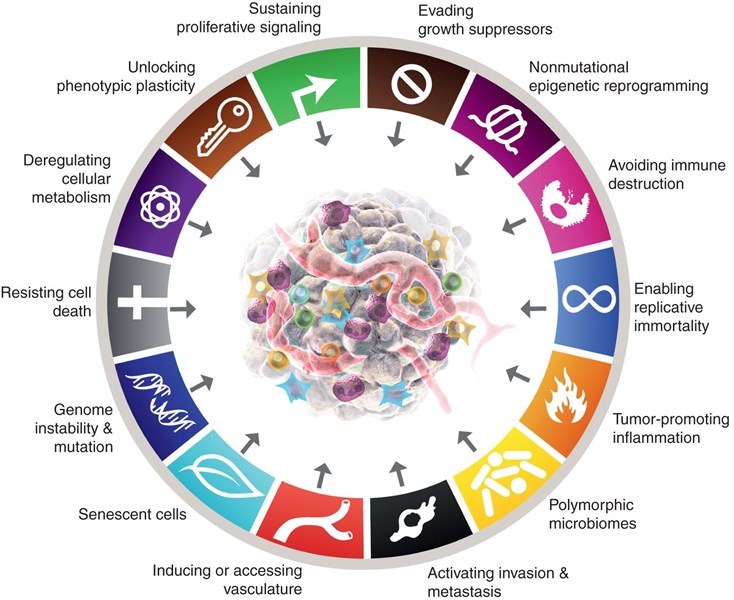 Những dấu hiệu đặc trưng của ung thư (The Hallmarks of Cancer)