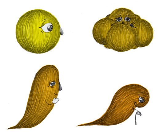 Tuổi thọ của tế bào trong nuôi cấy