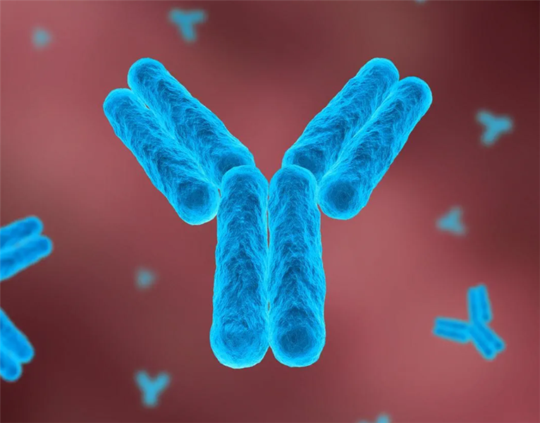 Liệu pháp kháng thể có tiềm năng thay thế hóa – xạ trị trong phác đồ điều kiện hóa trước ghép tế bào gốc