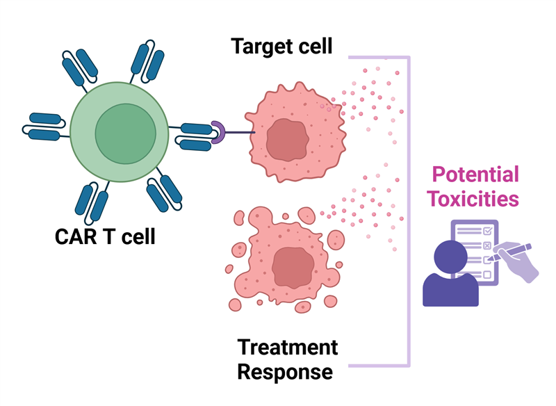 Liệu pháp CAR-T: bước đột phá của liệu pháp tế bào trong điều trị ung thư