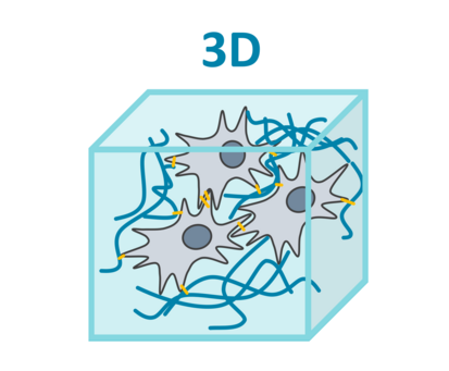 Một ví dụ cho thấy sự khác biệt rõ ràng khi sử dụng mô hình 2D và 3D trong thử nghiệm