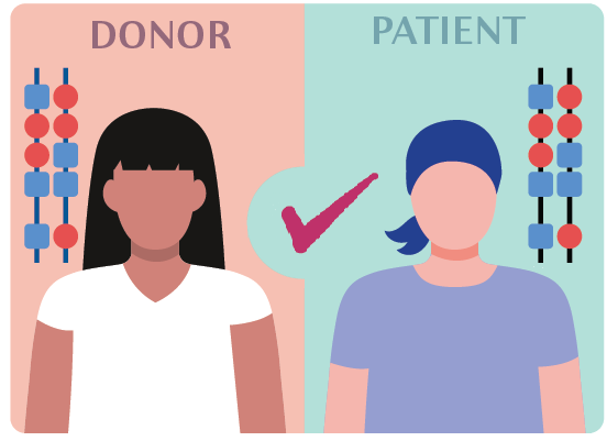 Quy định về sàng lọc người hiến mẫu để tạo ra sản phẩm Liệu pháp tế bào tại Hoa Kỳ và châu Âu