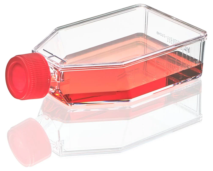 Khái quát quy trình nuôi cấy tế bào