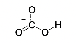 Thành phần môi trường nuôi cấy tế bào: muối bicarbonate