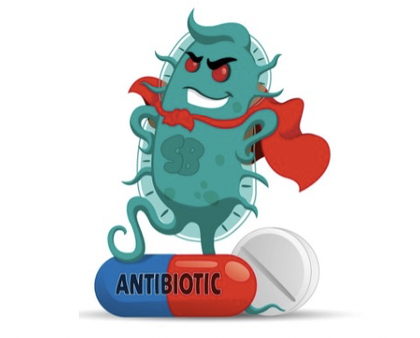 Thành phần môi trường nuôi cấy: kháng sinh và kháng nấm – bạn hay thù?