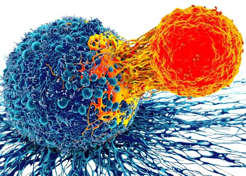 Liệu pháp tế bào cho các bệnh ung thư dạng u đặc đã đạt nhiều thành tựu đột phá trong năm 2024