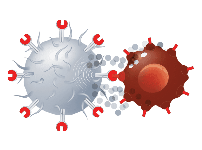 Loại bỏ CD5 trên tế bào CAR-T giúp tăng hiệu quả điều trị ung thư