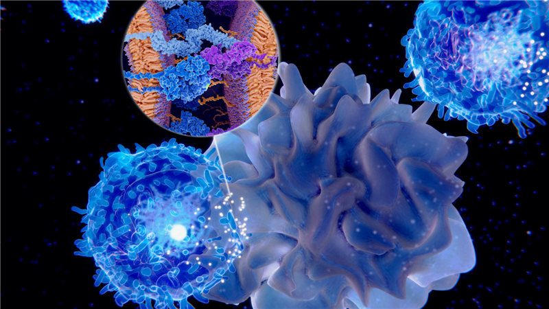 Liệu pháp TCR-T trong điều trị ung thư