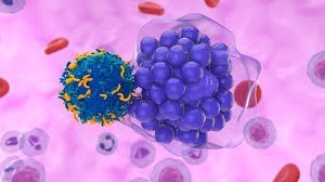 Liệu pháp CAR-T đồng loại: giải pháp giúp bệnh nhân ung thư tăng khả năng tiếp cận phương pháp điều trị tiên tiến