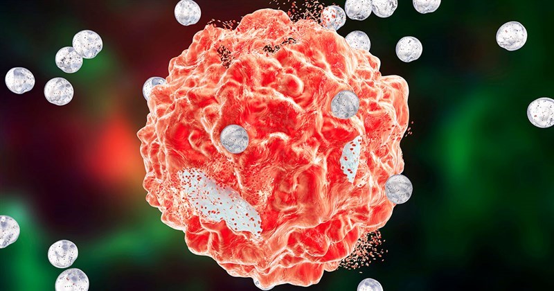 Liệu pháp TIL trong điều trị u đặc: Triển vọng và thách thức