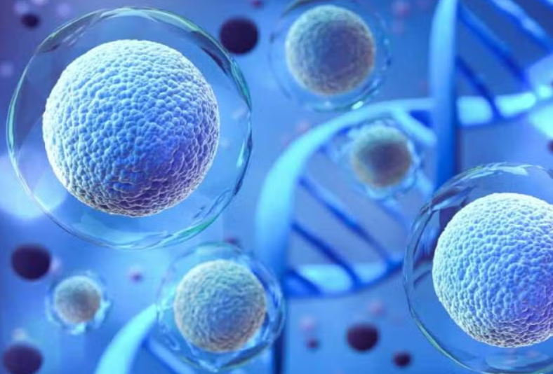 Chính phủ Singapore hỗ trợ chi phí điều trị cho bệnh nhân có chỉ định sử dụng liệu pháp tế bào, mô và liệu pháp gen