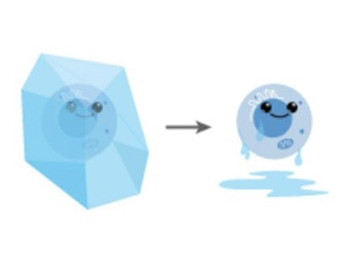 Rã đông tế bào sau quá trình bảo quản đông lạnh