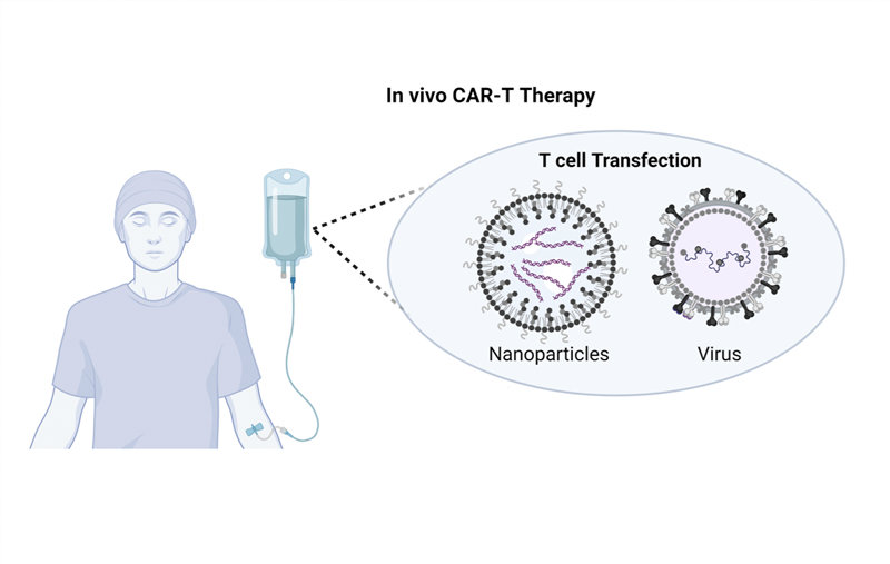 CAR-T in vivo: chiến lược mới với tế bào CAR-T được sản xuất ngay trong cơ thể bệnh nhân