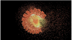 Hiểu rõ hơn về “chữa khỏi HIV do ghép tế bào gốc”