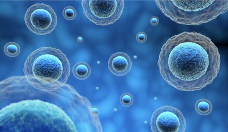 Các chuyên gia kêu gọi cần có quy định rõ ràng và ngắn gọn về phương pháp điều trị dựa trên exosome