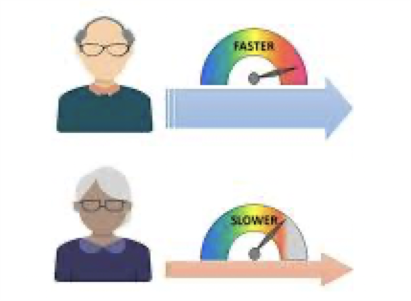 Tế bào gốc trung mô dây rốn (UC-MSC) cho thấy triển vọng chống lại sự lão hóa miễn dịch