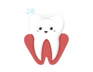 Lưu trữ tế bào gốc răng sữa: quy trình thực hiện và kiểm soát chất lượng mẫu