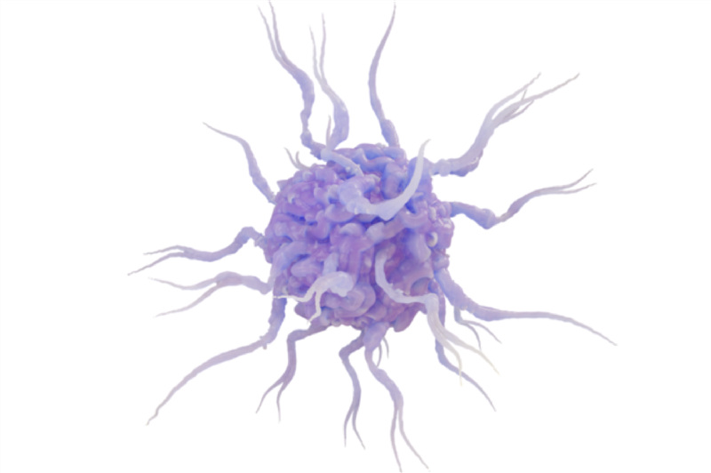 Tế bào đuôi gai biểu hiện CD5 đóng vai trò quan trọng đối với khả năng đáp ứng liệu pháp miễn dịch của bệnh nhân ung thư