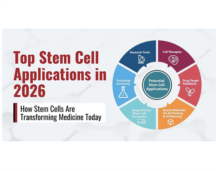 Nghiên cứu tế bào gốc năm 2026: những lợi ích, hạn chế và ứng dụng chính