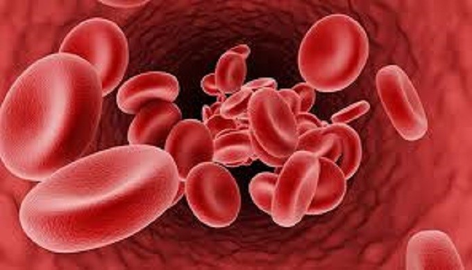 Liệu pháp tế bào gốc chỉnh sửa gen cho bệnh lý huyết sắc tố