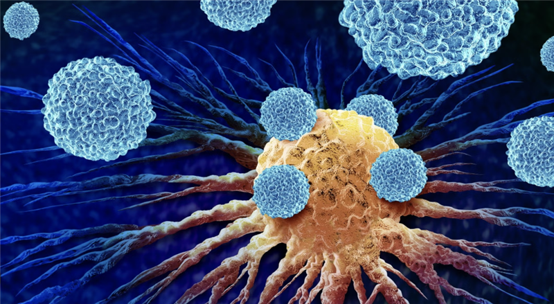 Atlas mới về tế bào miễn dịch giúp chẩn đoán và điều trị cá nhân hóa cho người châu Á