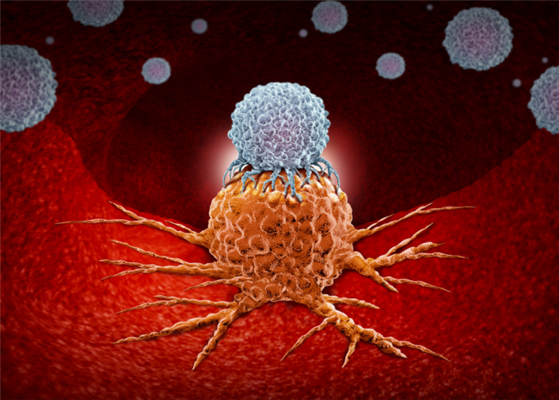 Liệu pháp CAR với các tế bào thuộc hệ miễn dịch bẩm sinh (P1)