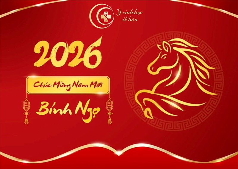 Chúc mừng năm mới Bính Ngọ 2026