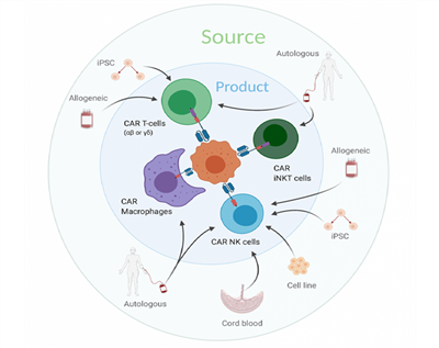 Liệu pháp CAR với các tế bào thuộc hệ miễn dịch bẩm sinh (P4)