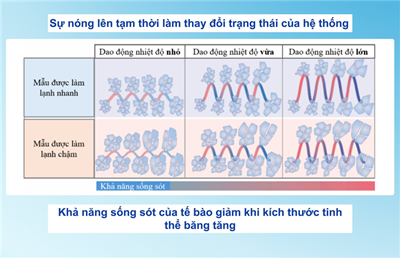 Sự cố nóng lên tạm thời trong bảo quản mẫu đông lạnh