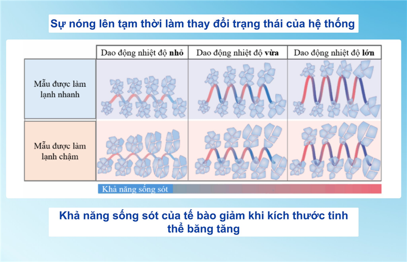 Sự cố nóng lên tạm thời trong bảo quản mẫu đông lạnh