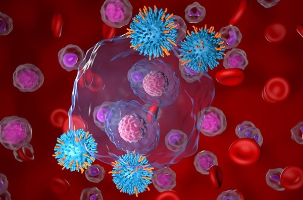 Liệu pháp tế bào miễn dịch mang cấu trúc CAR: so sánh CAR-T, CAR-NK và CAR-M