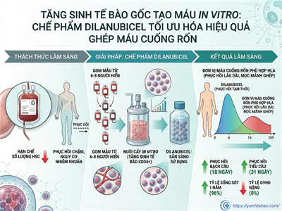 Tăng sinh tế bào gốc tạo máu in vitro: Chế phẩm Dilanubicel tối ưu hóa hiệu quả ghép máu cuống rốn