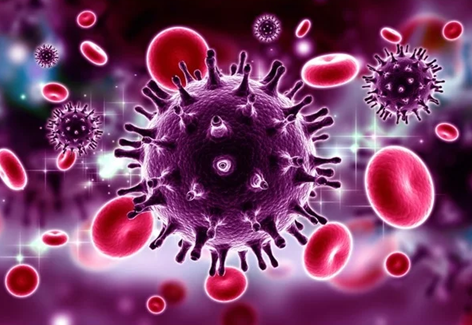 Thêm 2 trường hợp được chữa khỏi HIV nhờ ghép tế bào gốc: những phát hiện mới đầy ý nghĩa
